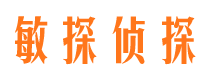 连平外遇取证